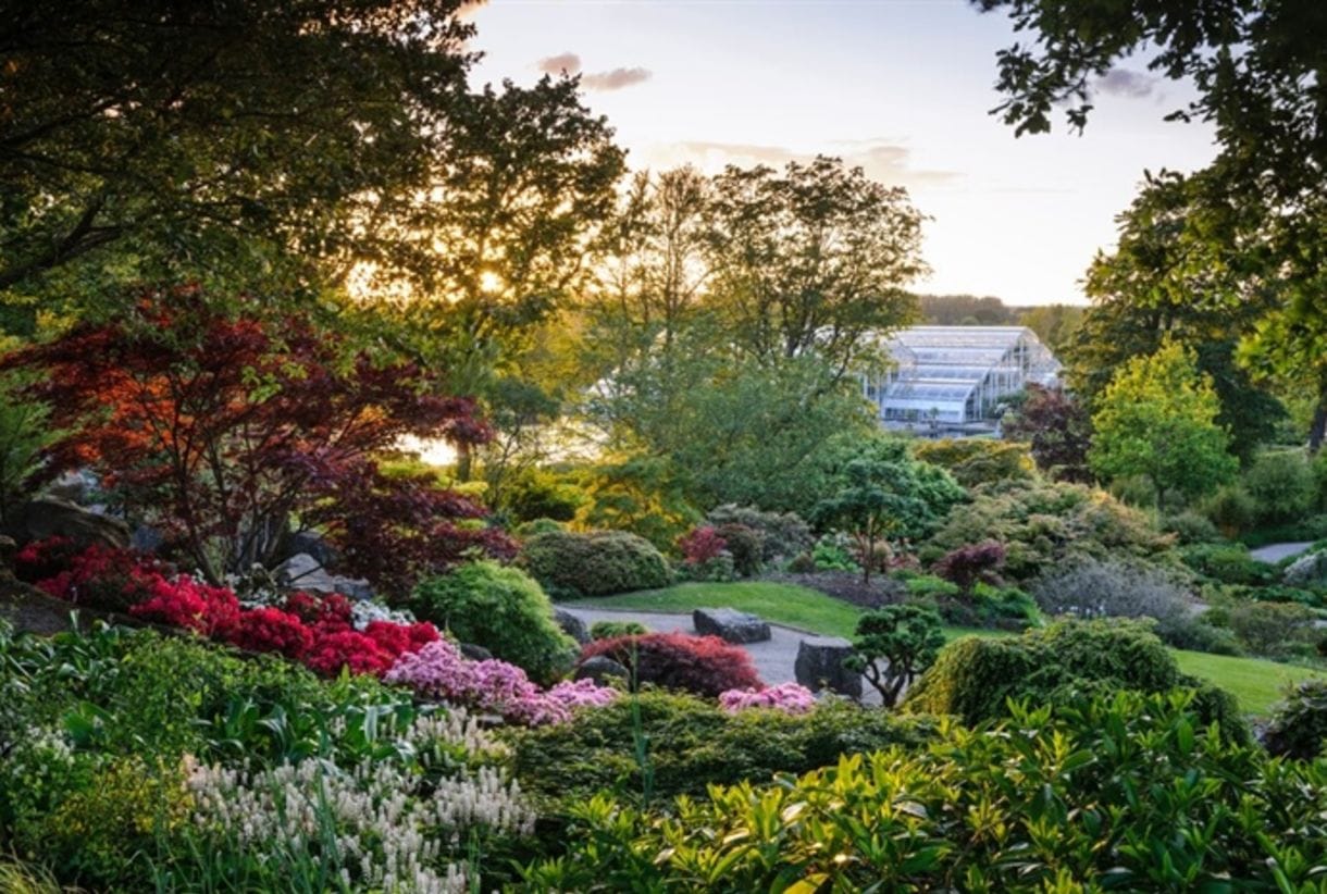 PHOTO CREDIT: visitsurrey.com RHS Wisley